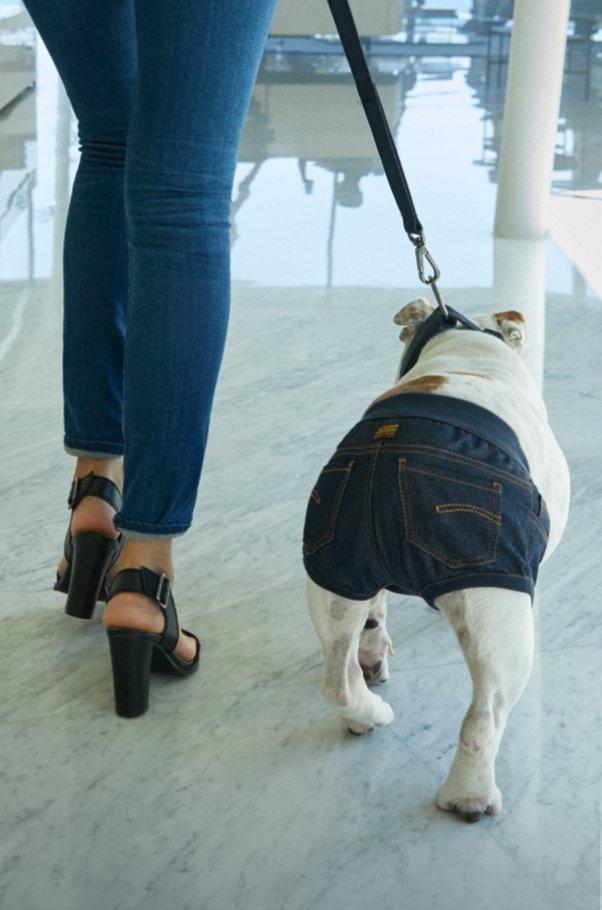 G-Star RAW BB-G Bloomer Hardcore Denim Accessories Collection