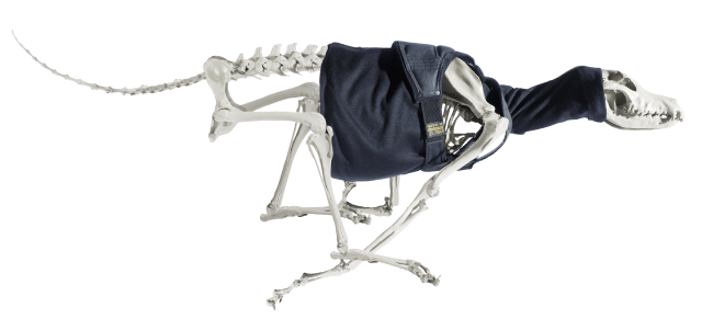 skeleton dogg